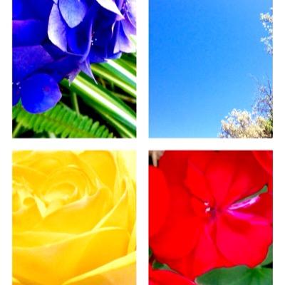 colourmigration's profile picture. Adding a touch of colour into our everyday lives. We are surrounded by beautiful, colourful/natural living things...