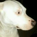 sarah locklear - @homeit123 - Twitter