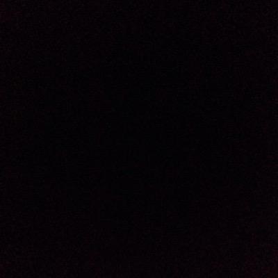 evie_1D_walker's profile picture. 