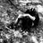Leito_Cfc's profile image