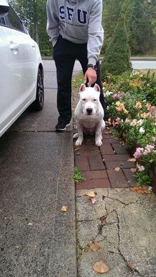 gill_moe's profile picture. 