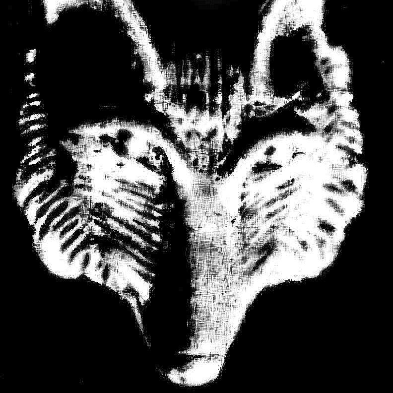 wolftrace's profile picture. 