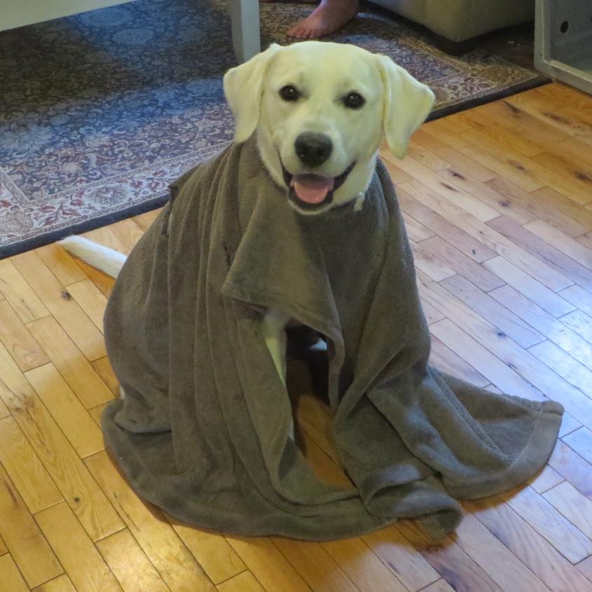 shoppesavvy's profile picture. Bad baker, good cook, sporting wife, homeschool mom, history nerd.