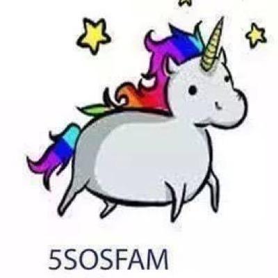 bitch! i am a HUGE fan of 5sos. no one can change any fucking thing in my damn life. i luv all the boys and support them 100%. i love u boys! go 5sos!!