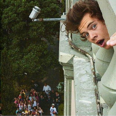 MUST BE FOLLOWING @36ANDUGLY. Harry follows me on there. ill send him all users who follow me on @36andugly within the next hour!