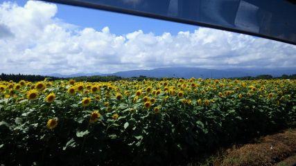 中原 良太 Nhbwfadjc4y98ne Twitter