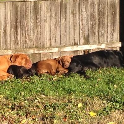 ClarkLabs4's profile picture. 