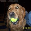 Austin Lapointe - @aman35i - Twitter