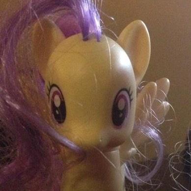 I am a pegasus