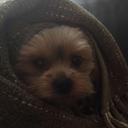 Kelly Bard - @bard_kelly - Twitter