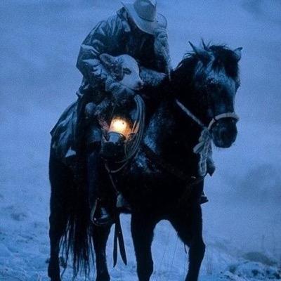Nod, Ride, Hit em, and Slide. #Cowboy #Rodeo #CowboyUp #CowboyToTheCore