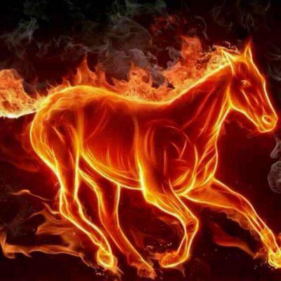 arean418's profile picture. Ogrenci