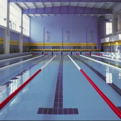 BASSEINI1's profile picture. 