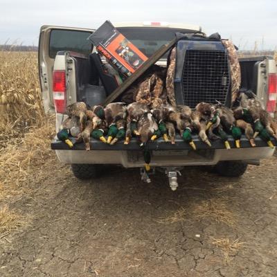 mylifesbaseball's profile picture. What you're made of is what you are made to do...