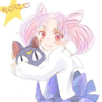 こたつの季節