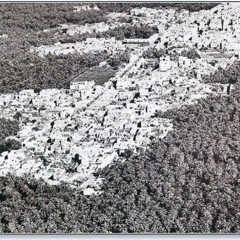 hassanalidobisy's profile picture. رحال في دنيا كُل من فيها مسافر