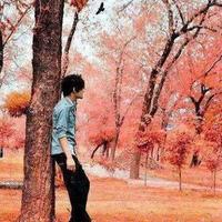 امير الحب (@hmid12321) 's Twitter Profile