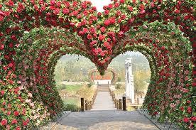 nurhilal38's profile picture. 