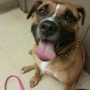 Diamond Rae - @DiamondRae2012 - Twitter