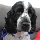 Kay Steiner - @specialkay1505 - Twitter