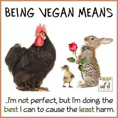 Wife, mother, vegan, voice for the voiceless, animal lover, all life matters, born and unborn.