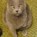 Wesley Bowyer - @whbowyer - Twitter