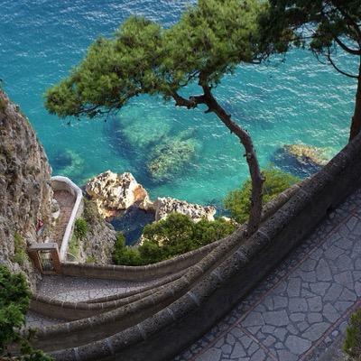 CamilleMaystre's profile picture. 