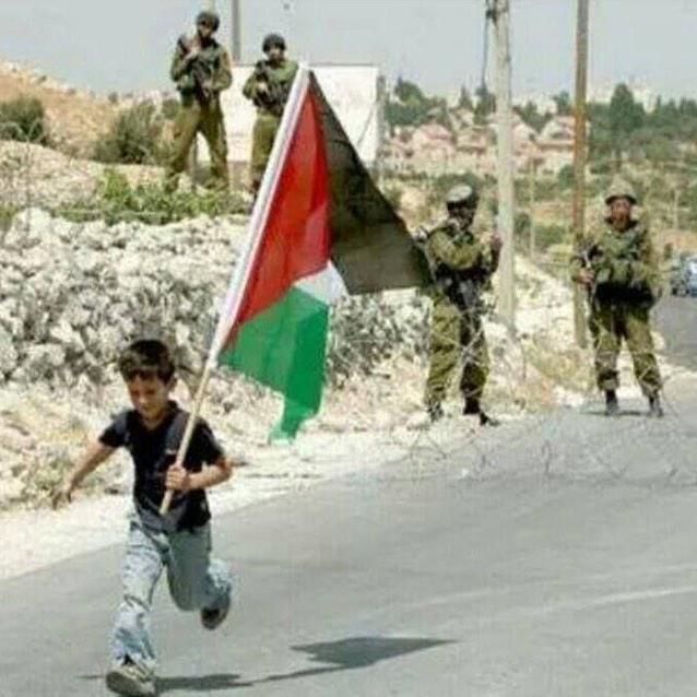 looooming's profile picture. Incorrigible Realistic Dreamer