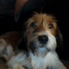 kaiser1272's profile picture. 