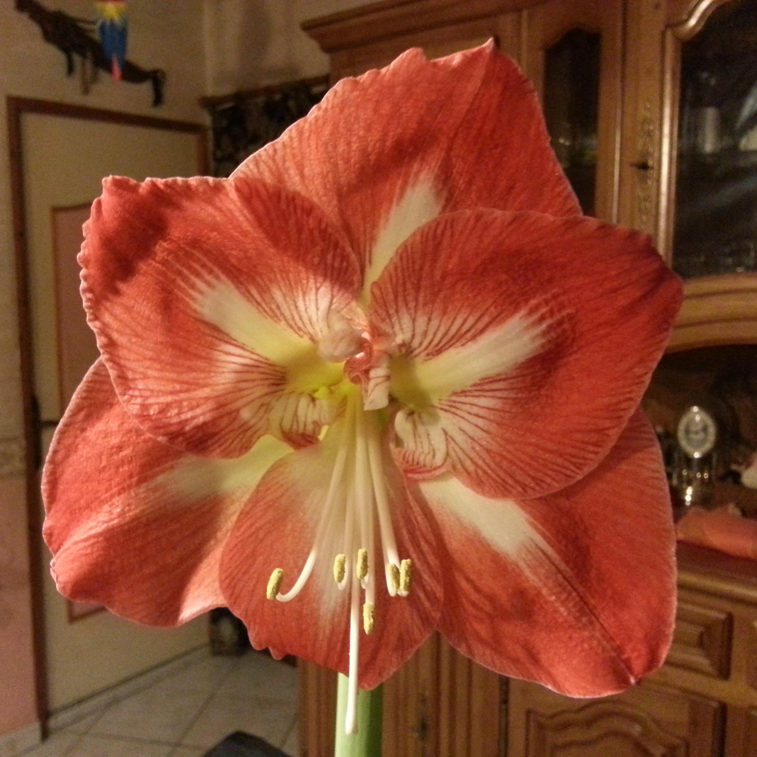 AnnickCoudrais's profile picture. 