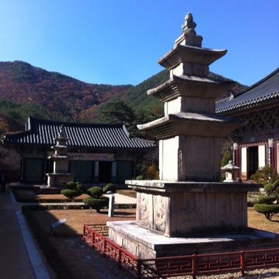 Feudallord3's profile picture. Interesting in biology, sports, music and Japanese study. I'm good swimmer and learning  the saxophone