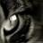 riswhoozella191's profile image
