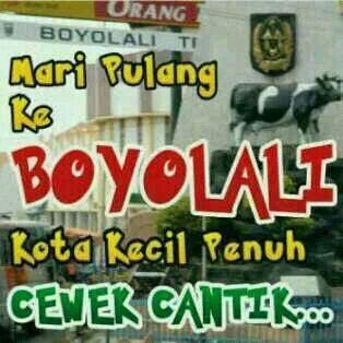 335197b57694427's profile picture. 