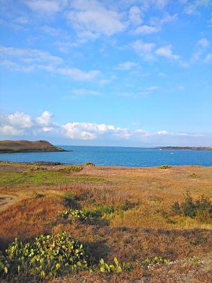 _fpast's profile picture. May the Force be with you.