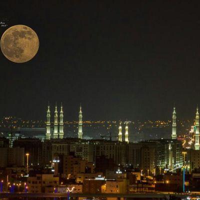 omda_ksa's profile picture. 