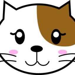 kaniusaghi's profile picture. 猫好き　旅好き　可愛い物綺麗な景色大好き　11歳で亡くなった最愛のさくら（茶トラ猫雄）の事等フォロワーさんにつぶやきます　よろしくお願いします🤲