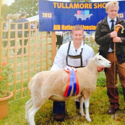 Part time farmer, work in Midland Veterinary. Farm 130 ewes including purebreed Lleyn, 20 suckler cows. Massive rugby and Leinster fan.