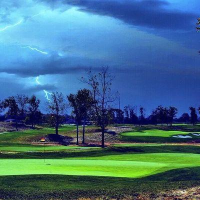 gadieln's profile picture. 