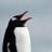 paconpeti1970's profile image