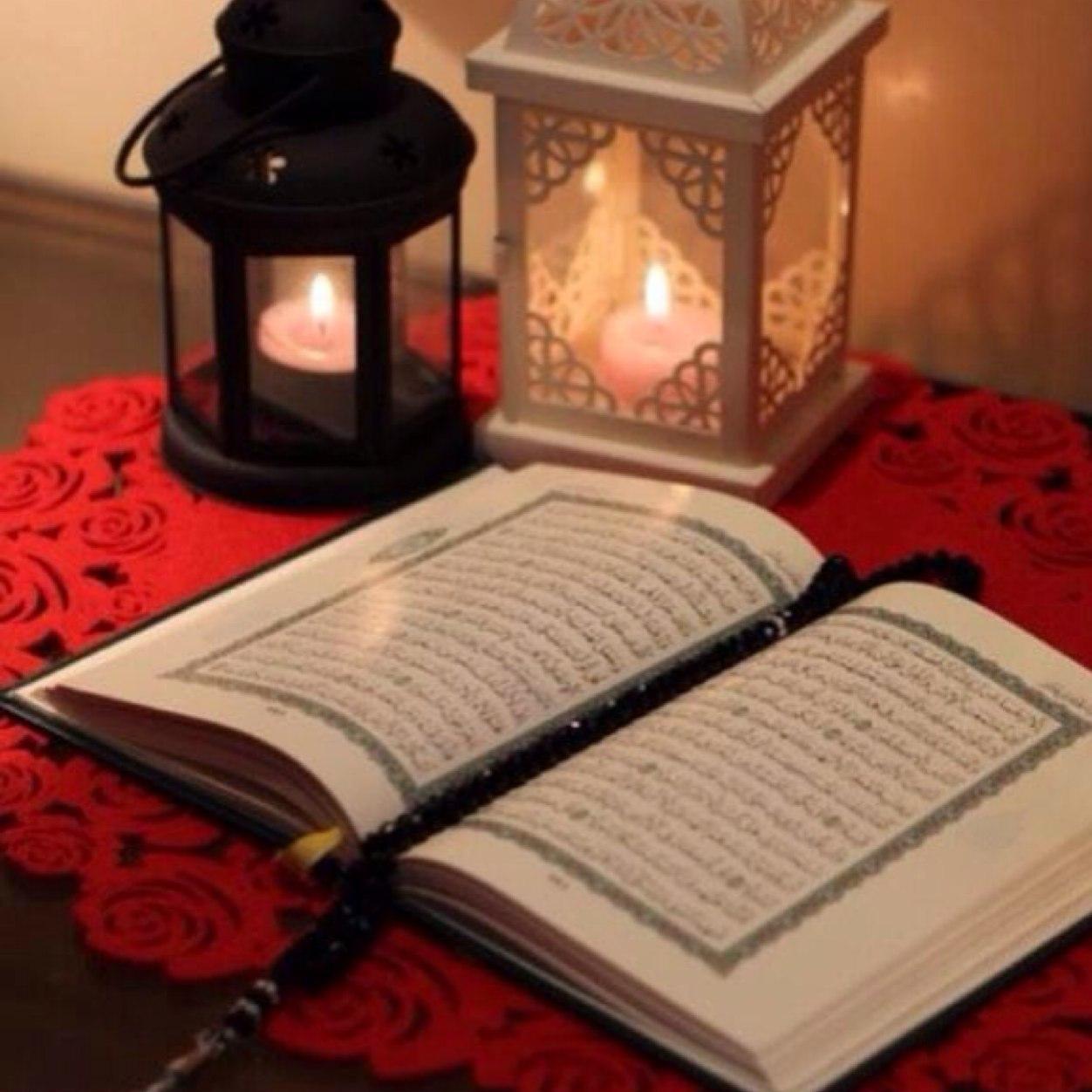 همي رضا ربي❤️