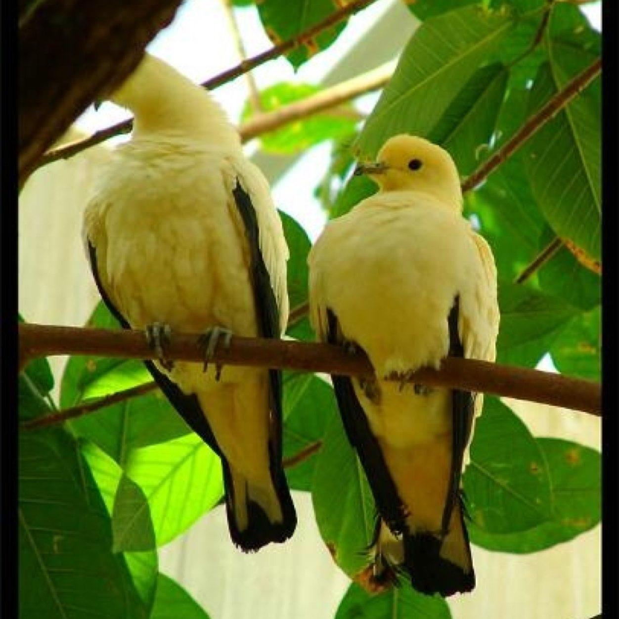 wlo53753's profile picture. ‏أنا خطيئتك التي تستغفرين بسببها كل ليلة ولا تتوبين عنها، لا أعمم وإن بدا لك ذلك.