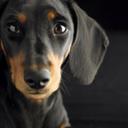 Katherine Hooker - @kgghooker - Twitter