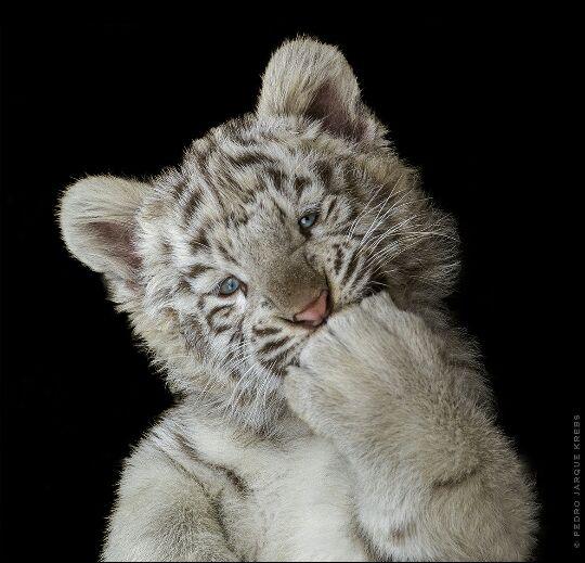 Emeranti's profile picture. 