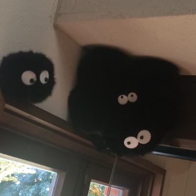 はじめまして音楽大好きなのでいろいろ話しましょう