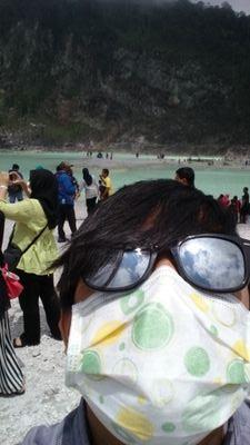 Programmer, DOtA Player, Boys Of Straits, Ingress