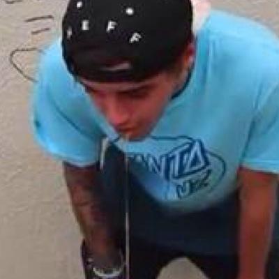 BEAUSNOTEBOOK's profile picture. a special account for beau's wonderful jokes,, seriously where's his award??