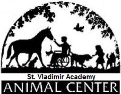 Tienda De Animales ~ Directed by @Sir_Ashford