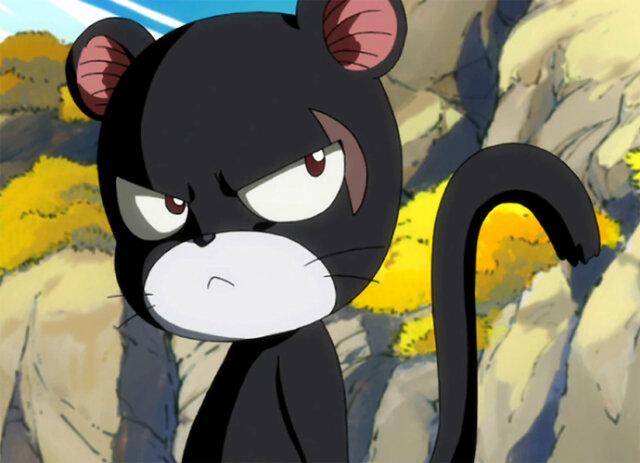 PantherLily, The Ex-general of edolas and extalia because of a human. Even he's a human, I can't ignore a wounded creature. Partner to @GajeeruRedFox #FT #MVP