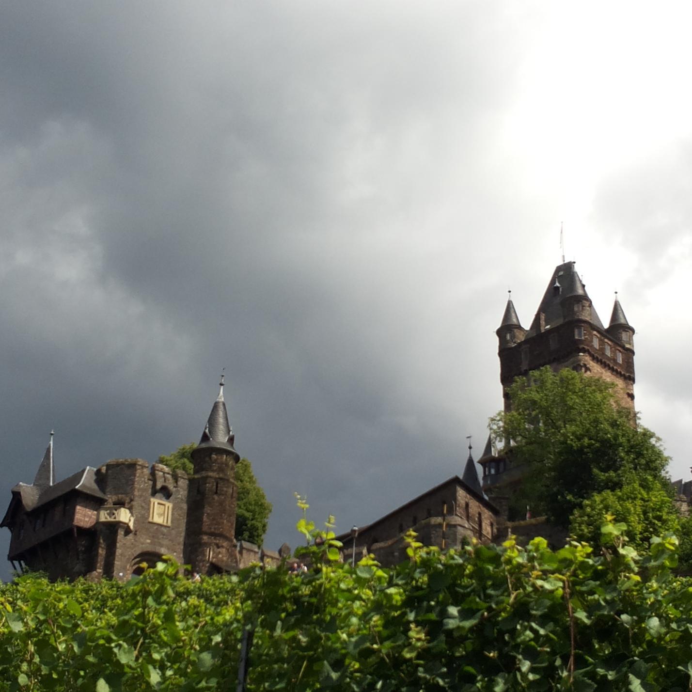 Kokkiekwettert's profile picture. Kokkin van Koning Langhaar, voormalig kindermeisje van Fashionista. Eén van de hoofdpersonen uit de Trilogie van Ur en dol op Kwetter.