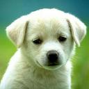 Clintonjasper.charle (@23633b8d76b549c) Twitter